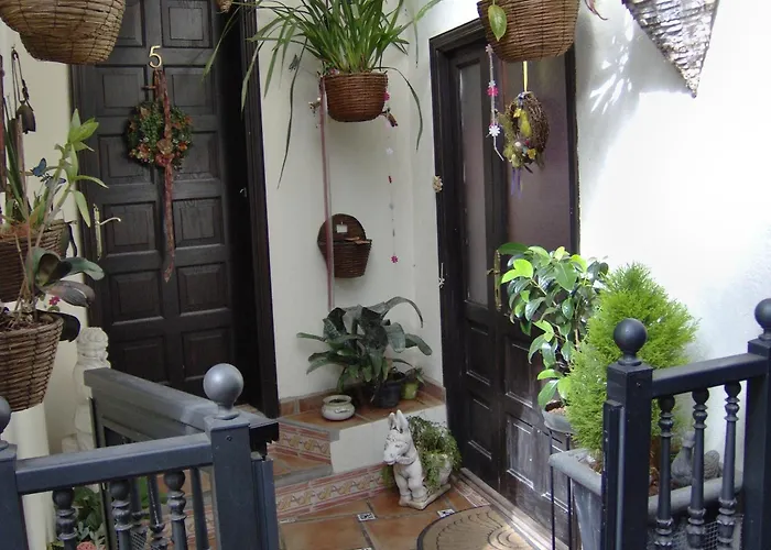 Kleines Mit Meerblick Appartement Icod De Los Vinos