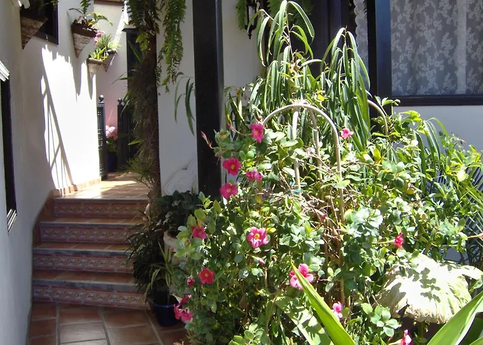 Apartmán Kleines Mit Meerblick Icod De Los Vinos